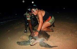 Angolan villagers swap turtle hunts for coastal patrols