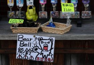 Japan’s Record Bear Attacks Raise Alarms Over Wildlife Management