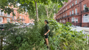 CITY DWELLERS TURN TO MICRO-FORESTS FOR CLIMATE RELIEF