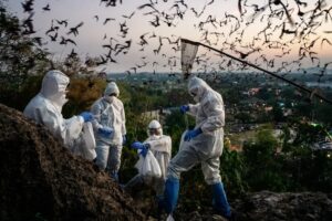 Wildlife Disease Surveillance Expands as Scientists Warn of Spillover Risks