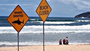 Murky Waters and Bull Sharks: Rain‑Driven Attacks Close Australian Beaches Murky Waters and Bull Sharks: Rain‑Driven Attacks Close Australian Beaches