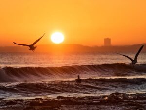 Ocean Heat Reaches New Record as Climate Change Intensifies Ocean Heat Reaches New Record as Climate Change Intensifies