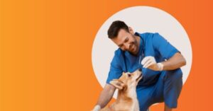 Pet Ownership Surges Among Young Urban Professionals Pet Ownership Surges Among Young Urban Professionals